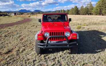 94-jeep-wrangler-1994-13