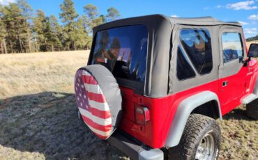 94-jeep-wrangler-1994-9