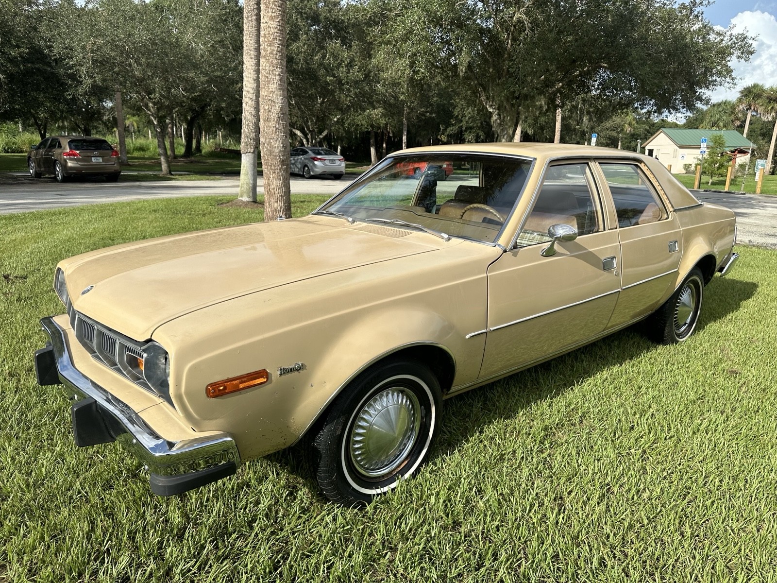 AMC-Hornet-1977-Sedan-2
