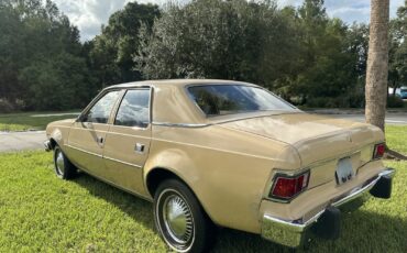 AMC-Hornet-1977-Sedan-6