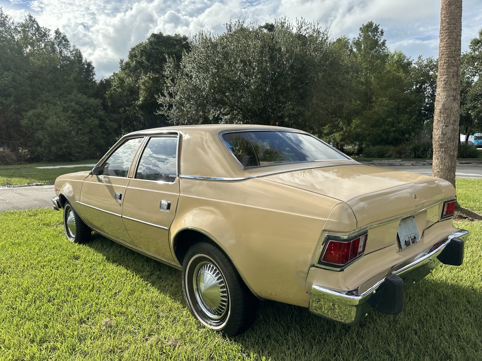 AMC-Hornet-1977-Sedan-6