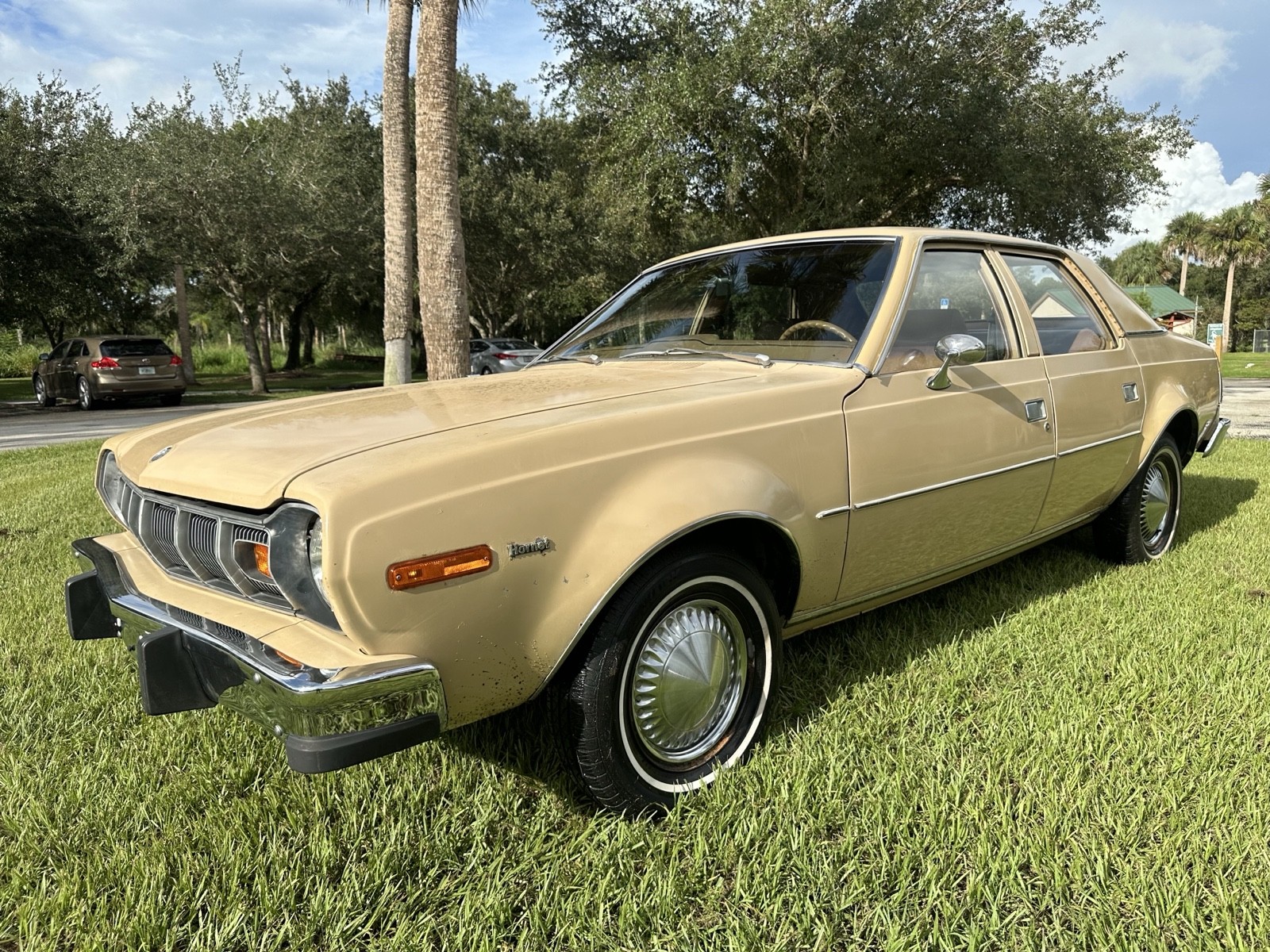 AMC-Hornet-1977-Sedan