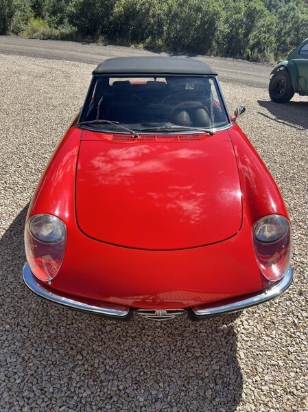 Alfa-Romeo-Spider-1972-Convertible-3