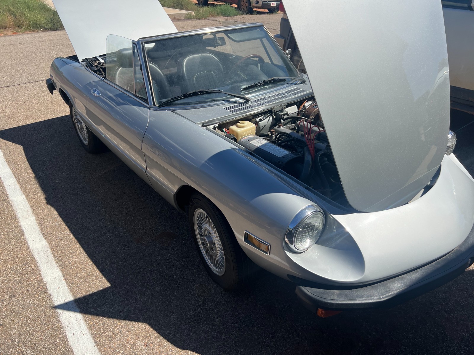 Alfa-Romeo-Spider-1978-Convertible-6