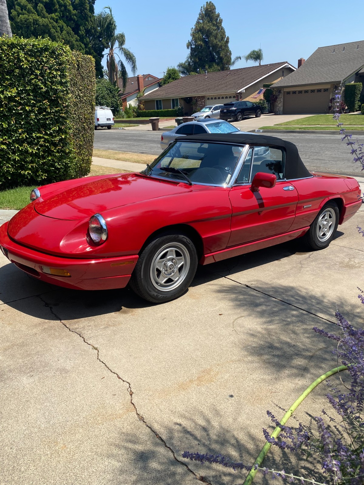 Alfa-Romeo-Spider-1991-Convertible-22