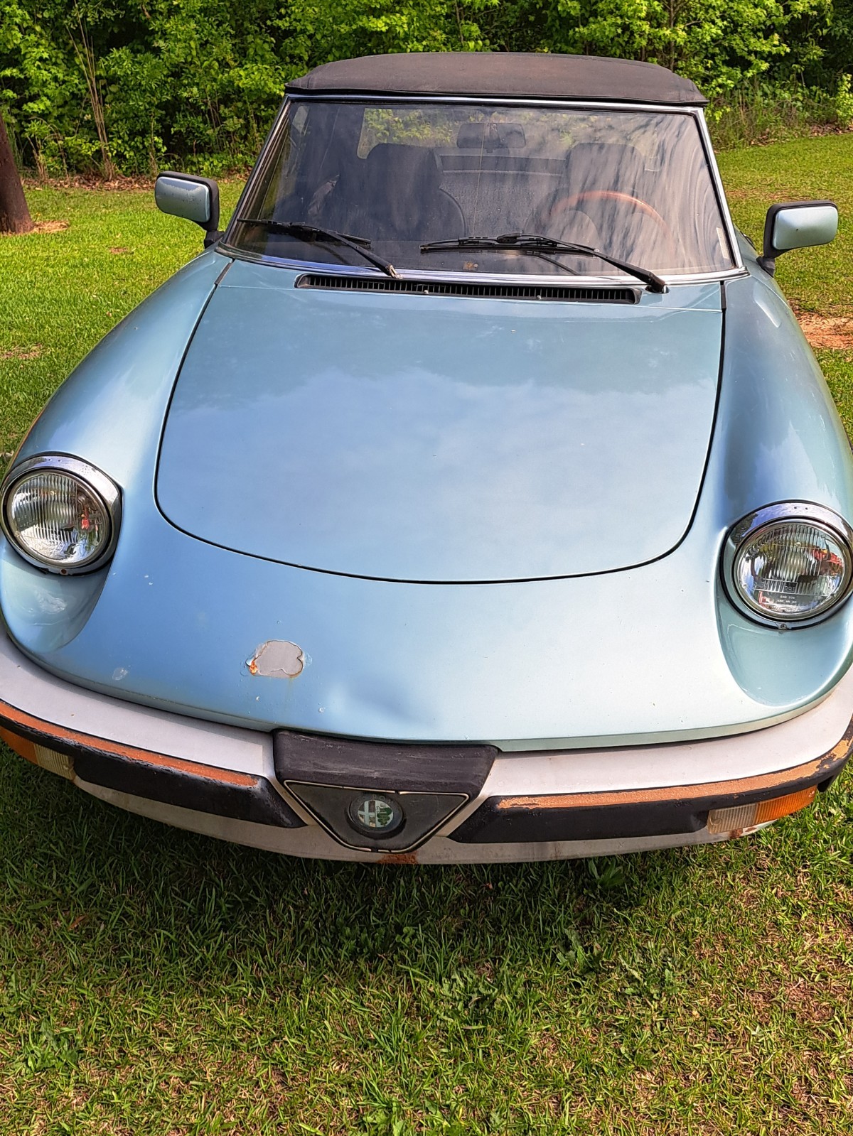 Alfa-Romeo-Veloce-1983-Convertible-1