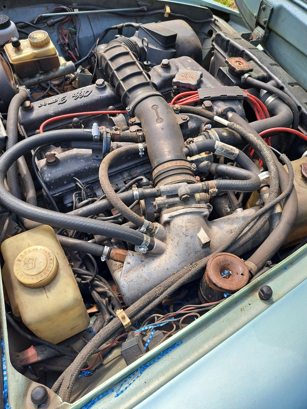 Alfa-Romeo-Veloce-1983-Convertible-3