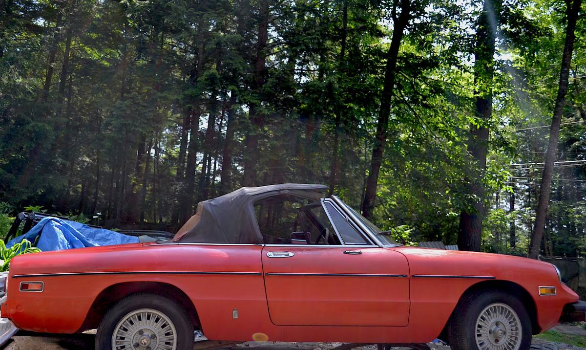 Alfa-remeo-1979-red-5