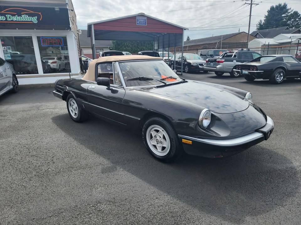 Alfa-romeo-spider-1984-5