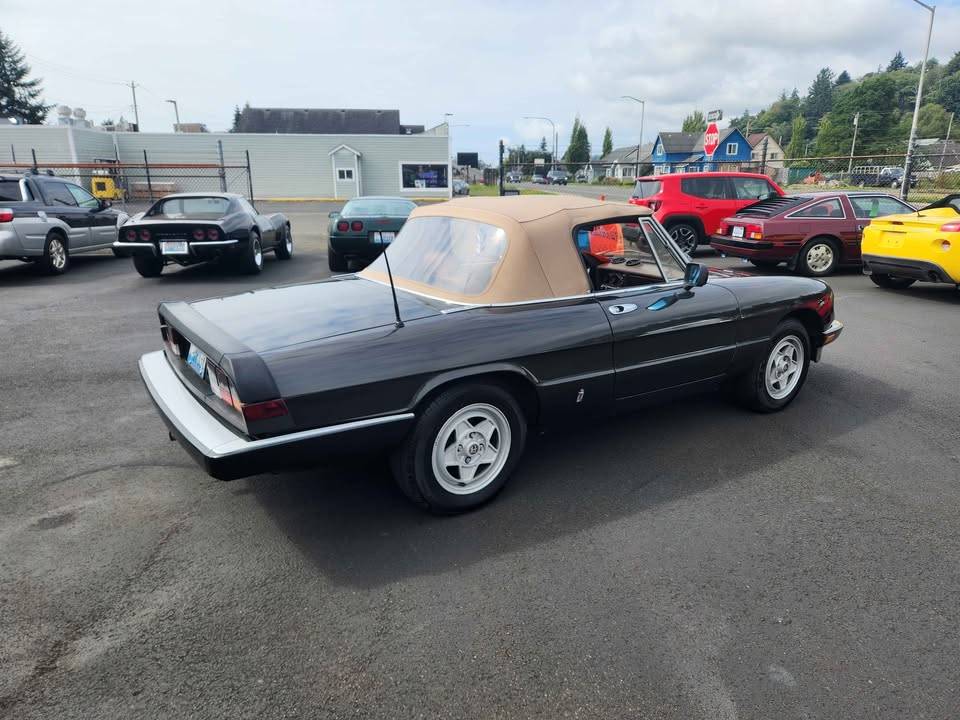 Alfa-romeo-spider-1984-6