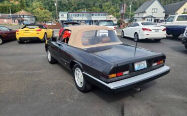 Alfa-romeo-spider-1984-7