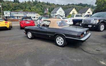 Alfa-romeo-spider-1984-8