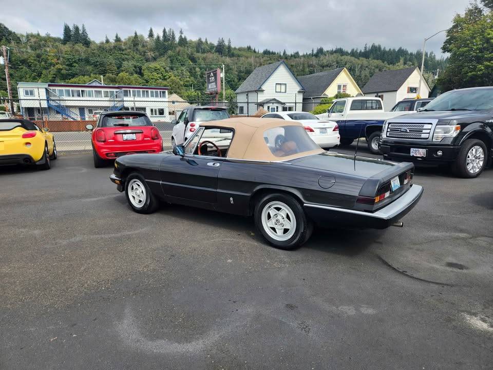Alfa-romeo-spider-1984-8