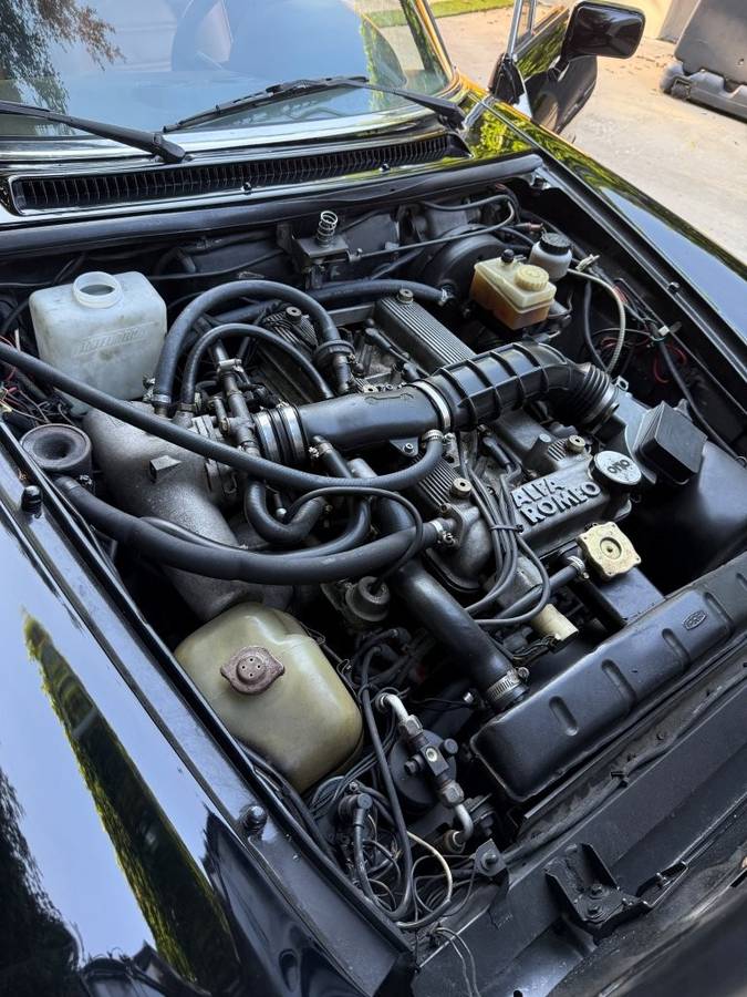 Alfa-romeo-spider-graduate-1989-20