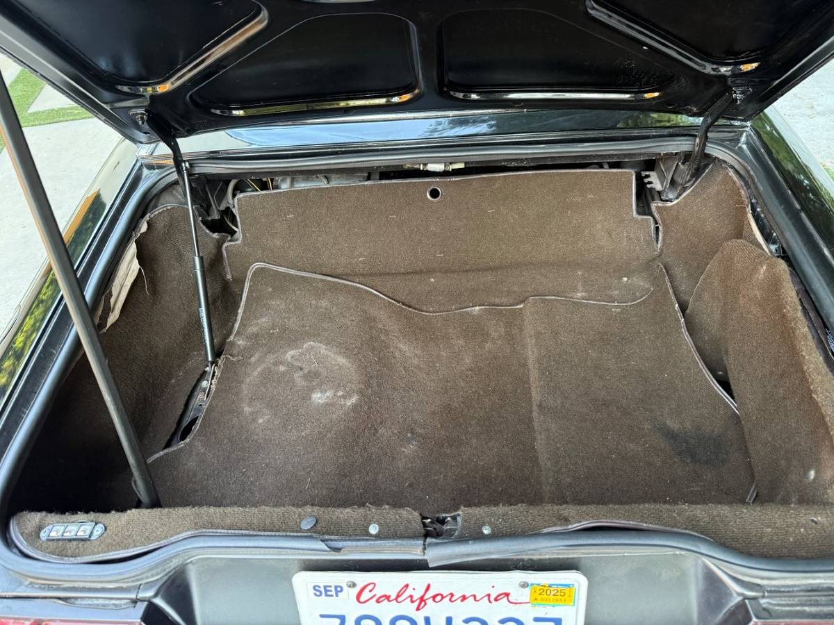 Alfa-romeo-spider-graduate-1989-21