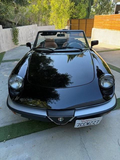 Alfa-romeo-spider-graduate-1989-4