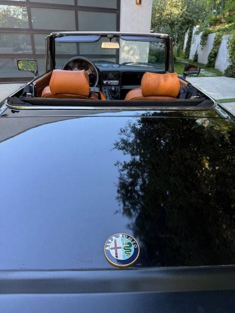Alfa-romeo-spider-graduate-1989-6