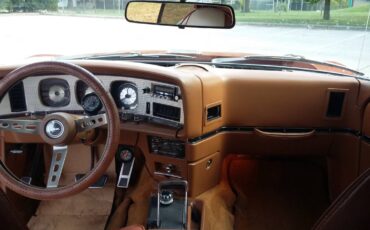 Amc-javelin-amx-1974-33