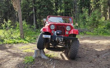 Amc-jeep-cj5-1982-red-9