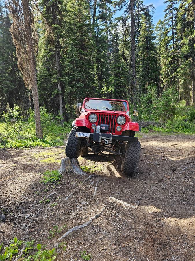 Amc-jeep-cj5-1982-red-9