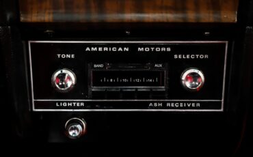 American-motors-Amx-1969-Castillian-Gray-Black-28