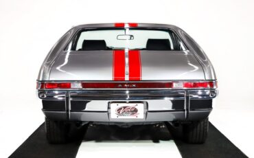 American-motors-Amx-1969-Castillian-Gray-Black-48