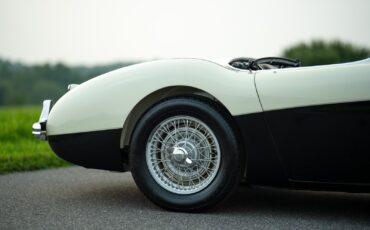 Austin-Healey-100M-1956-Convertible-12