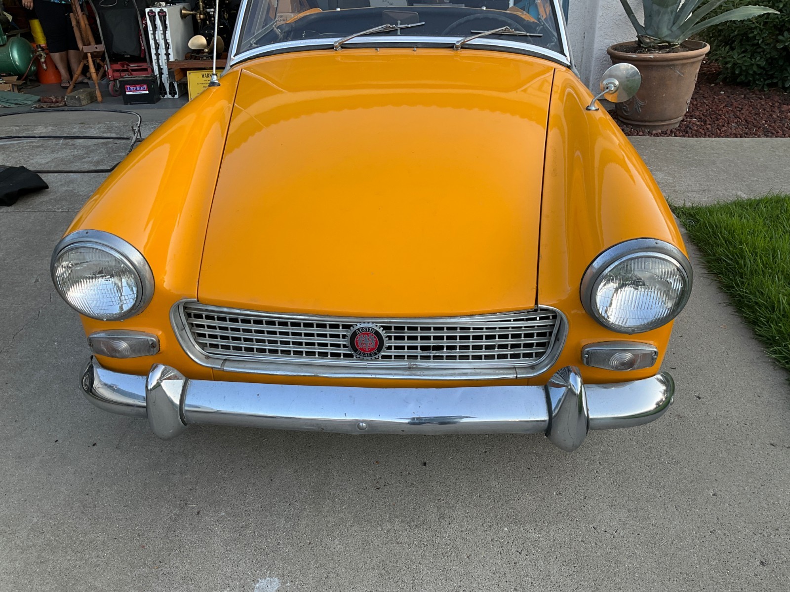 Austin-Healey-Sprite-1963-Convertible-2