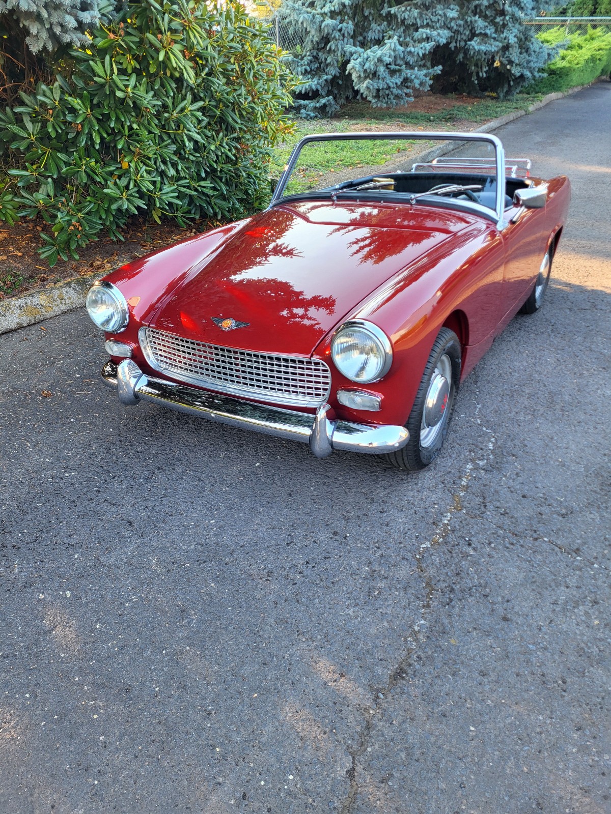 Austin-Healey-Sprite-1964-Convertible-1