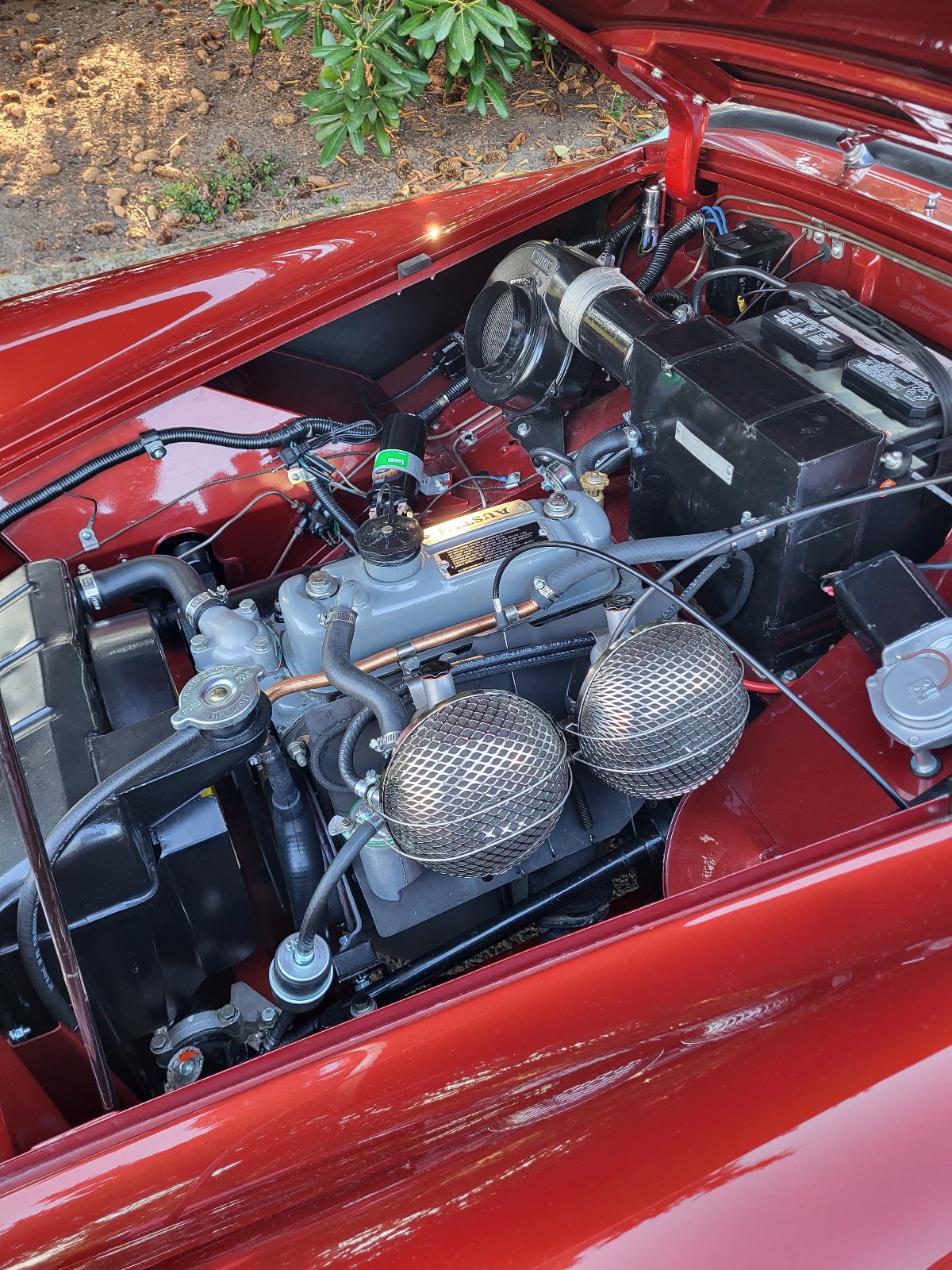 Austin-Healey-Sprite-1964-Convertible-13