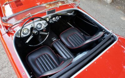 Austin-healey 100-4 bn1 1955