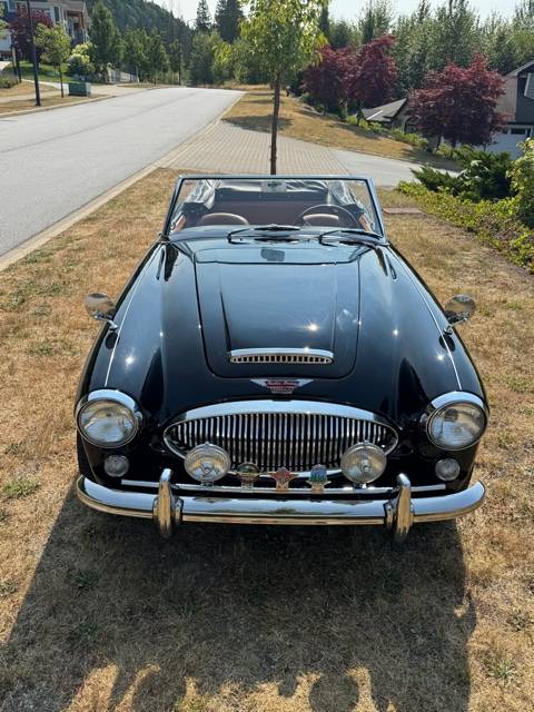 Austin-healey-1965-1