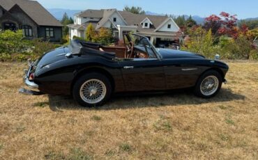 Austin-healey-1965-14