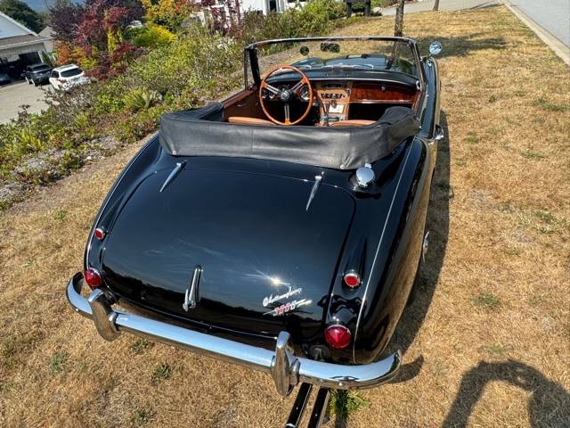 Austin-healey-1965-16