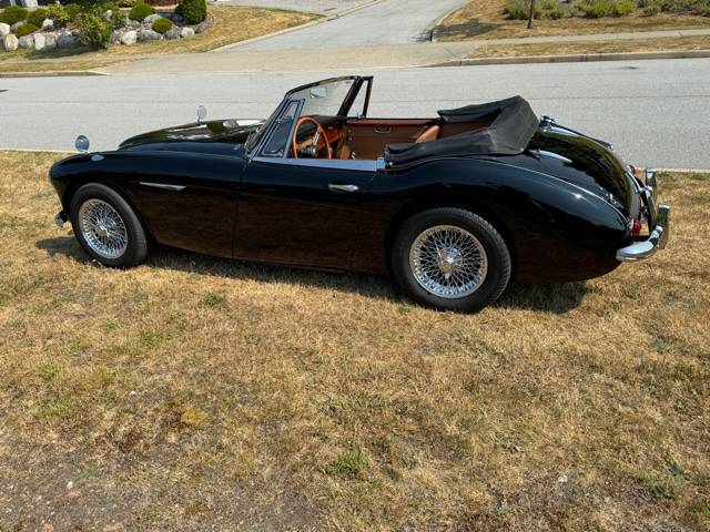 Austin-healey-1965-17