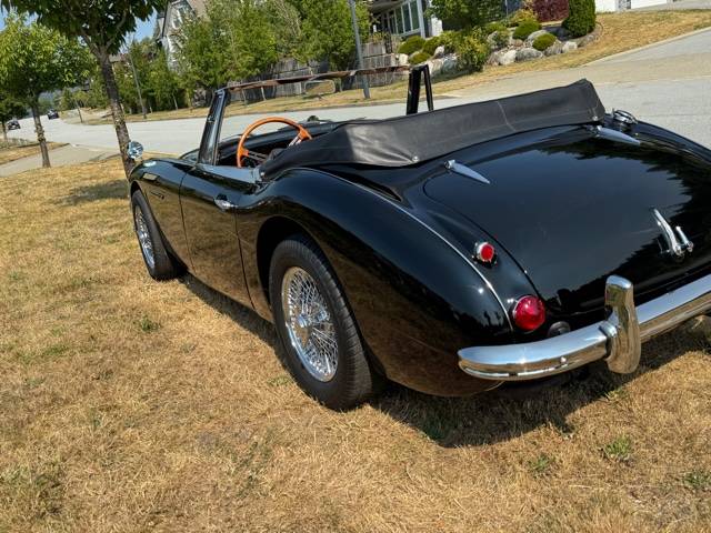 Austin-healey-1965-20
