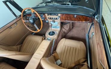 Austin-healey-1965-9