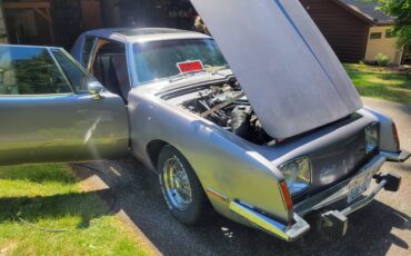 Avant-ii-1978-custom-14