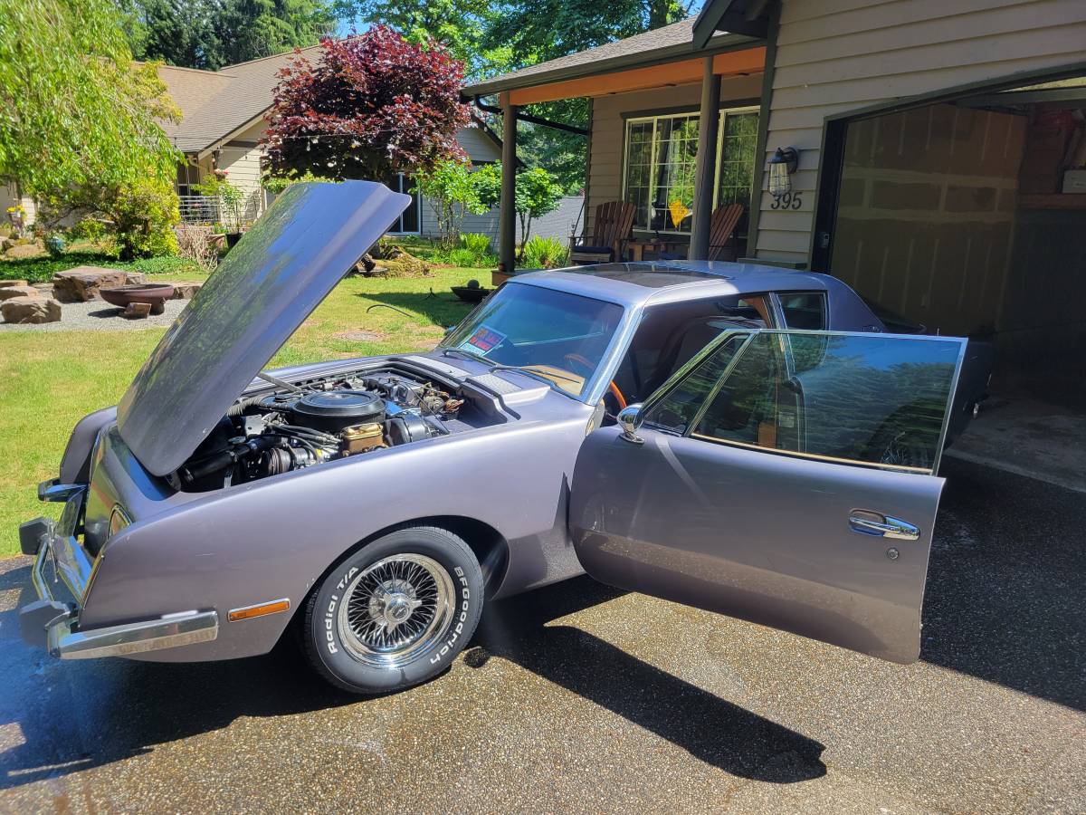 Avant-ii-1978-custom-20