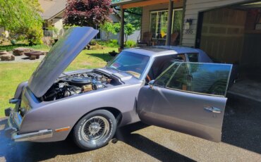 Avanti-Ii-1978-Gray-Tan