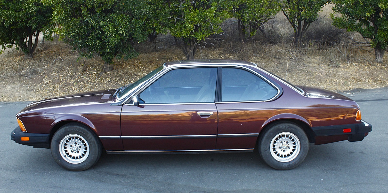 BMW-6-Series-1983-Coupe-6