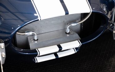 Backdraft-Racing-Cobra-RT4-1965-Roadster-17