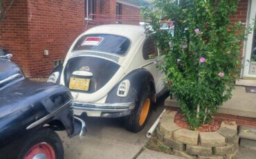 Beetle-1970-white-1