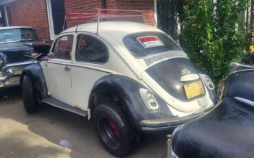 Beetle-1970-white-2
