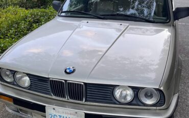 Bmw-325-1988-brown