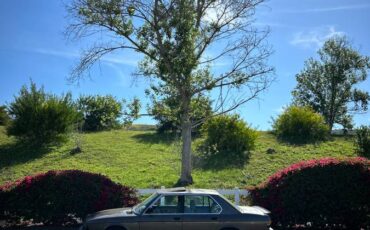 Bmw-528e-1988