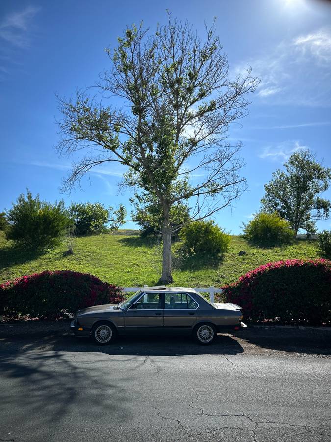 Bmw-528e-1988