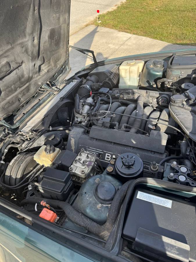 Bmw-530i-1994-green-5