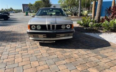 Bmw-635csi-1989-Silver-Gold-Black