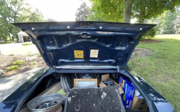 Buick-Century-1974-Midnight-Blue-Blue-35